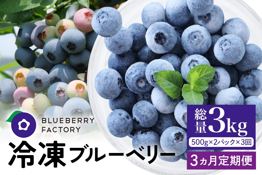 
                  【定期便】岐阜県産 冷凍ブルーベリー＜真空パック保存＞1kgパック 選べる 3ヶ月 6ヶ月 定期便 完熟 果物 手摘み ブルーベリー 果実 冷凍 ベリー フルーツ くだもの 日時指定可 岐阜県 川辺町 A16-SKU-002
                