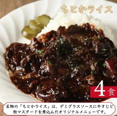 はしぐち亭ハンバーグ デミグラスソース ちとかライスセット 個包装 冷凍レトルト ギフト ハンバーグ_0047-002-se5