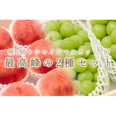 ふるさと納税 甲州市 【発送月固定定期便】『2026年先行受付』甲州市自慢の大玉桃と大粒シャインマスカット 全2回