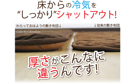 リバーシブル無地カラー・こたつ敷き布団【正方形：190×190cm】（KSI007）  お色：チョコ/モカ