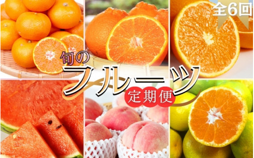 【全6回】旬のフルーツ定期便 【田村みかん 紀州デコ(不知火) 清見オレンジ 小玉スイカ 桃 ゆら早生みかん】 和歌山の旬をお届け【tkb314】