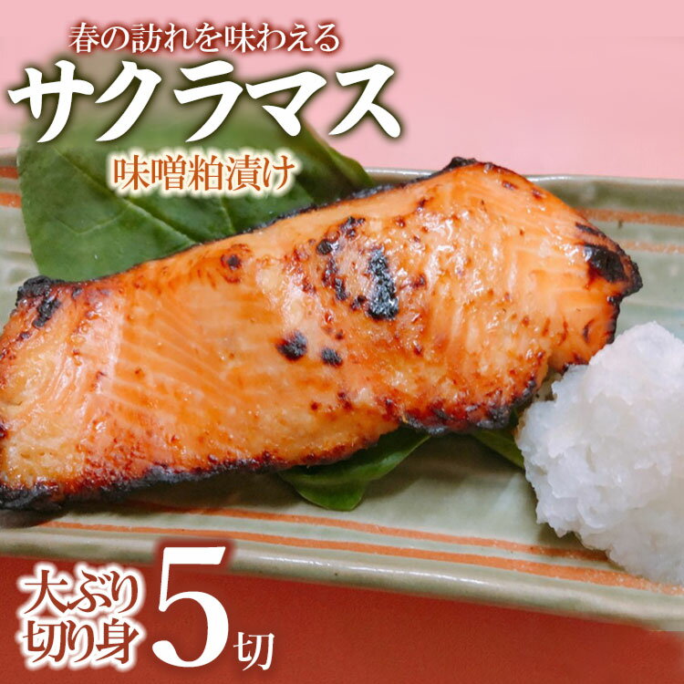 【ふるさと納税】【春の訪れを味わえる】サクラマス味噌粕漬け（大ぶり切り身5切れ） | 楽天ふるさと 納税 山形 山形県 山形県鶴岡市 鶴岡市 食品 支援品 鶴岡 支援 特産品 魚介 魚介類 返礼品 お礼の品 お取り寄せ 魚 漬け 粕漬け 粕漬 切り身 切身 サクラマス 加工品