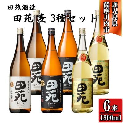ふるさと納税 薩摩川内市 田苑 白・黒・金 麦焼酎25度 1800ml×各2本(計6本) 田苑酒造 麦焼酎 麦 DSR-920