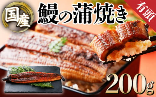 国産うなぎ蒲焼 有頭（特大）200g以上 1尾 ウナギ 鰻 高知県 東洋町 四国 お取り寄せ 家庭用 自宅用 贈り物 ギフト タレ・山椒付き うな重 鰻丼 うな丼 うな茶漬け 【送料無料】U010