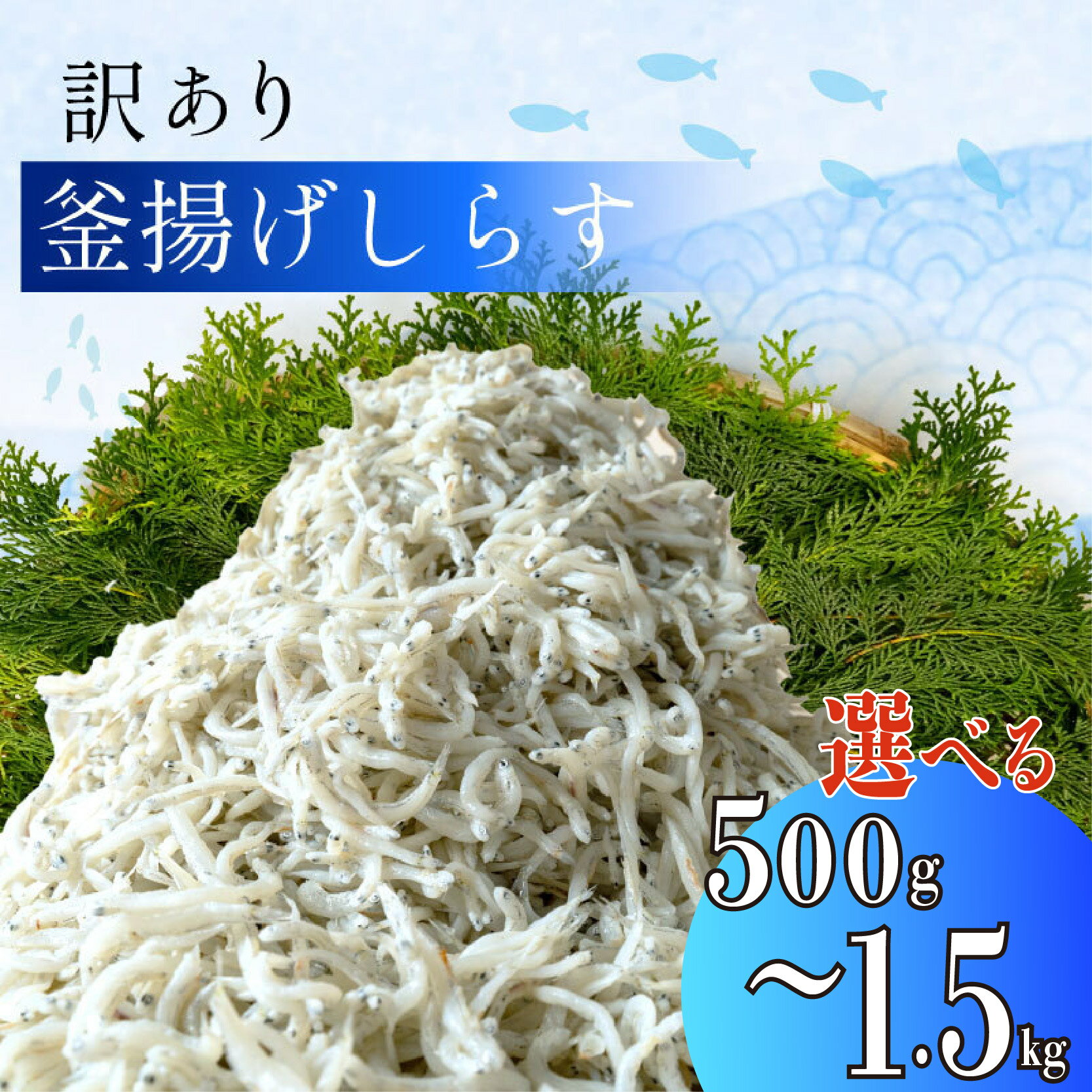 【ふるさと納税】 訳あり 釜揚げしらす 選べる 容量 500g～1kg～1.5kg 冷凍 小分け パック シラス 静岡県 沼津市