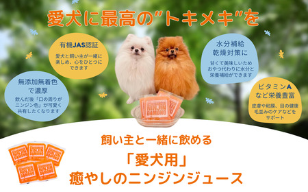 【12ヵ月定期便】飼い主と一緒に飲める「愛犬用」癒やしのニンジンジュース 100g×30個【 茨城県 つくば市 定期便 ジュース ドリンク 飲料 水分補給 にんじん 人参 ニンジン 人参ジュース にん