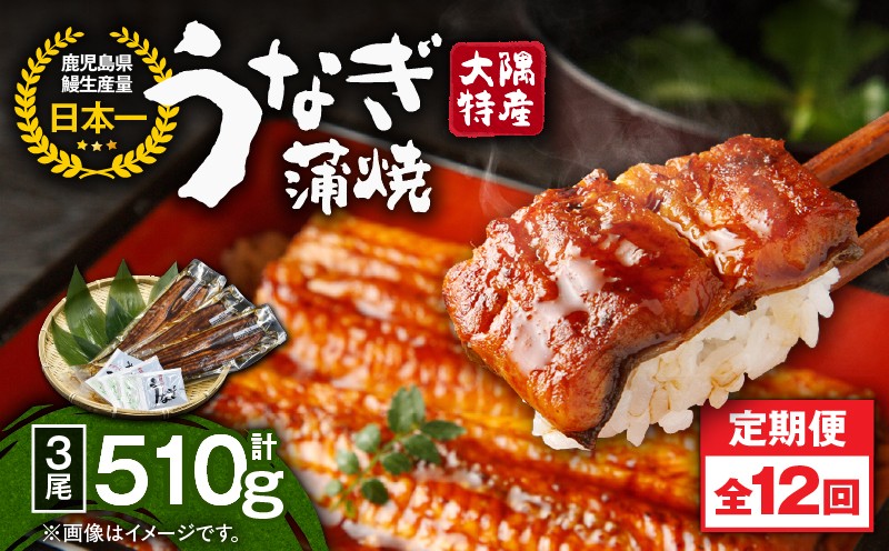 
                  2484 【全12回定期便】大隅特産うなぎ蒲焼3尾（510g）【国産】　KN060-T08
                