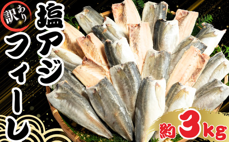 訳あり 塩アジフィーレ 約3kg ｱｼﾞ ｱｼﾞ ｱｼﾞ ｱｼﾞ ｱｼﾞ ｱｼﾞ ｱｼﾞ 