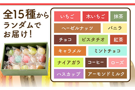 マカロン アソートタイプ 12個入り 欧風ケーキ工房 かねもり 《45日以内に出荷予定(土日祝除く)》｜本別マカロン　北海道マカロン　こだわりマカロン　マカロン　マカロン