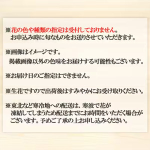 洋ラン シンビジウム (3本立て) アーチタイプ 草場農園 蘭 花 お花 ※配送不可：北海道