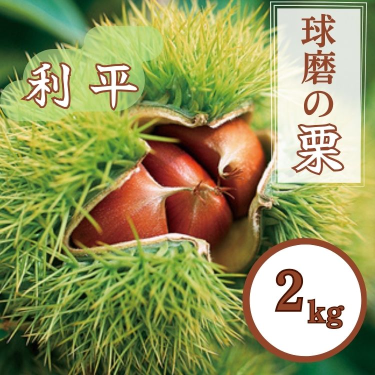 【ふるさと納税】熊本県JAくま産　球磨の栗　利平 2kg(2L以上)　お届け時期：2025年9月中旬〜9月下旬