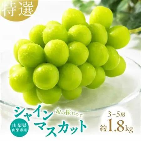 【2026年発送】山梨県山梨市産　特選　旬の採れたてシャインマスカット約1.8kg　3～5房【配送不可地域：離島】【1365850】