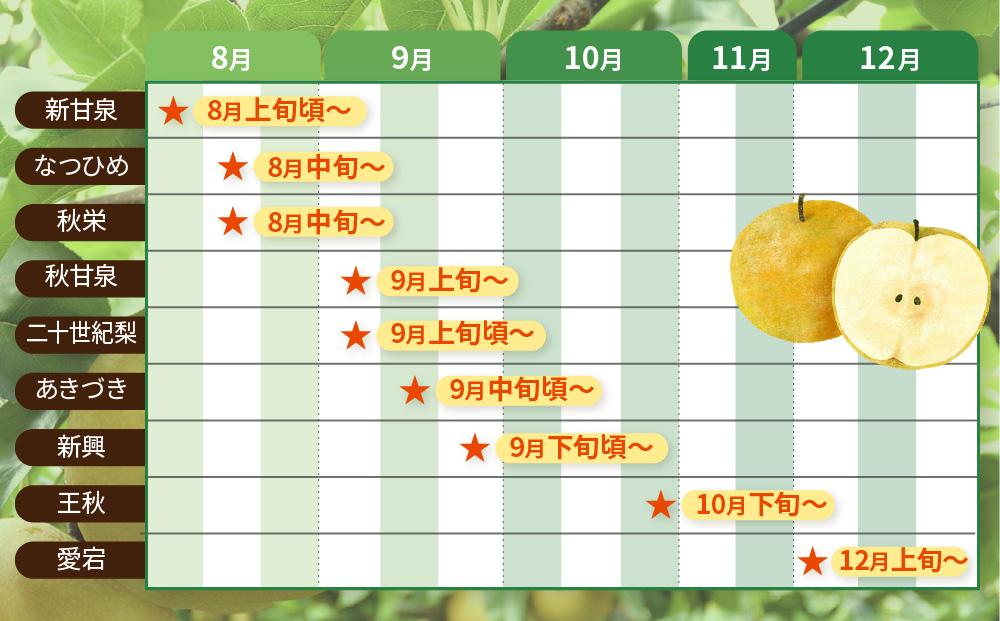 【先行予約】数量限定 鳥取県産梨 秋栄（あきばえ） 5kg（12～16玉）
