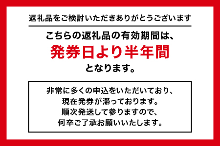 GINZA Global Style オーダースーツ 商品券（60,000円券）【GS-6】送料無料 入学式 入学 入学祝 入園 オーダースーツ オーダーメイド  スーツ ビジネススーツ メンズスーツ