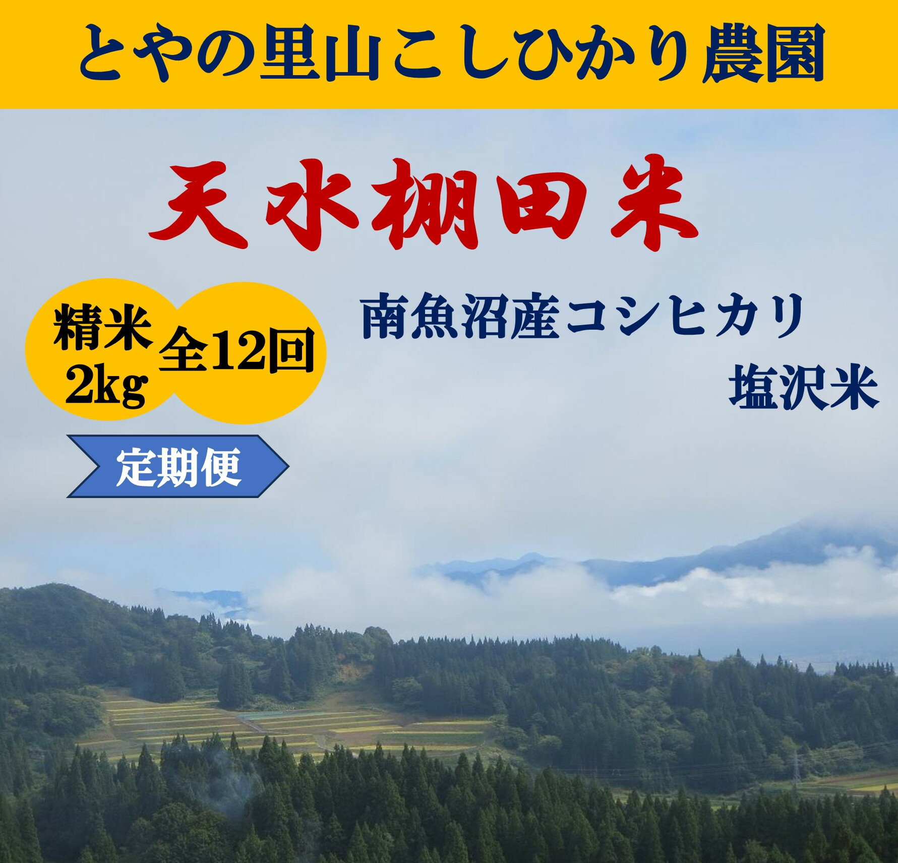 【ふるさと納税】令和8年産新米予約定期便【天水棚田米】雪蔵熟成塩沢産コシヒカリ精米2kg12回「とやの里山継承プロジェクト」【定期便 銘柄米 ブランド米 精米 こしひかり コシヒカリ 魚沼産 新潟米】【2026年10月下旬より順次発送予定】