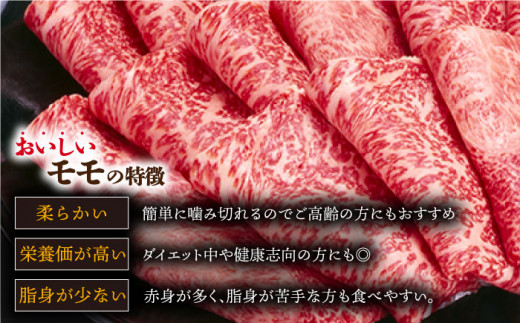 長崎和牛 約500g スライス 肉 (焼肉用) 冷凍 /長崎県産和牛 牛肉 国産牛【川下精肉店】 [OAA001]