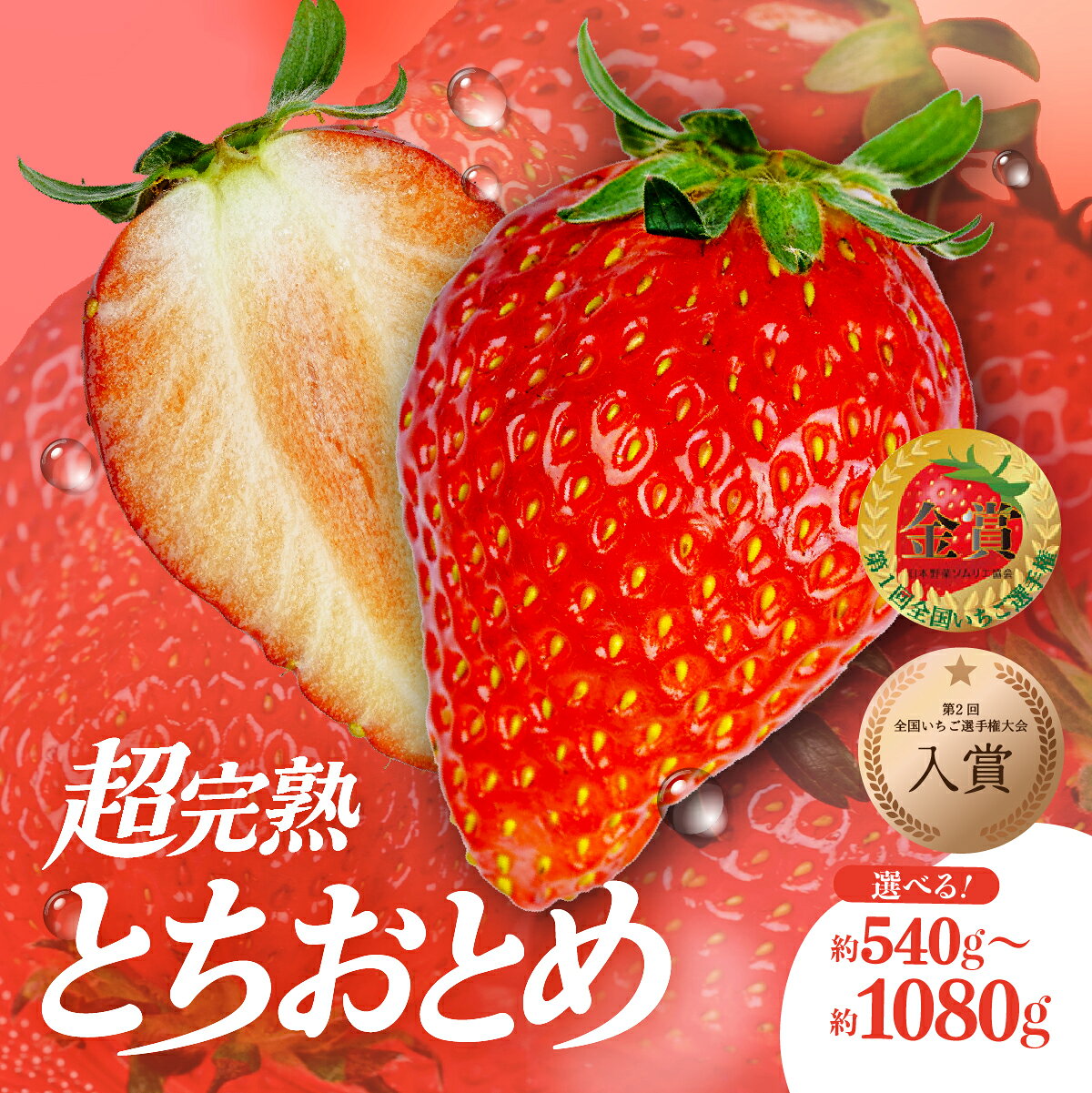【ふるさと納税】〈先行受付〉いちご 「茂木完熟いちご」いちご選手権金賞農園の朝採れ とちおとめ 540g 1,080g 選べる発送月＆内容量 | いちご イチゴ 苺 とちおとめ 第1回いちご選手権金賞 ブランドいちご ストロベリー 完熟 大粒 果物 フルーツ 美土里農園 栃木県 茂木町