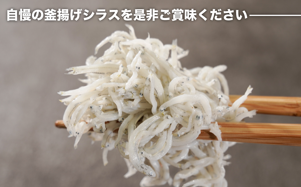 淡路島シラスの釜揚げ 100ｇ8袋入り（800ｇ）　　[釜揚げしらす 釜揚げシラス しらす 釜揚げしらす]
