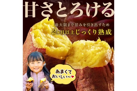 さつまいもオブザイヤー紅はるか部門全国1位のさつまいも農家がつくるサツマイモ3種食べ比べセット（紅はるか・金時・ふくむらさき）計約5kg
