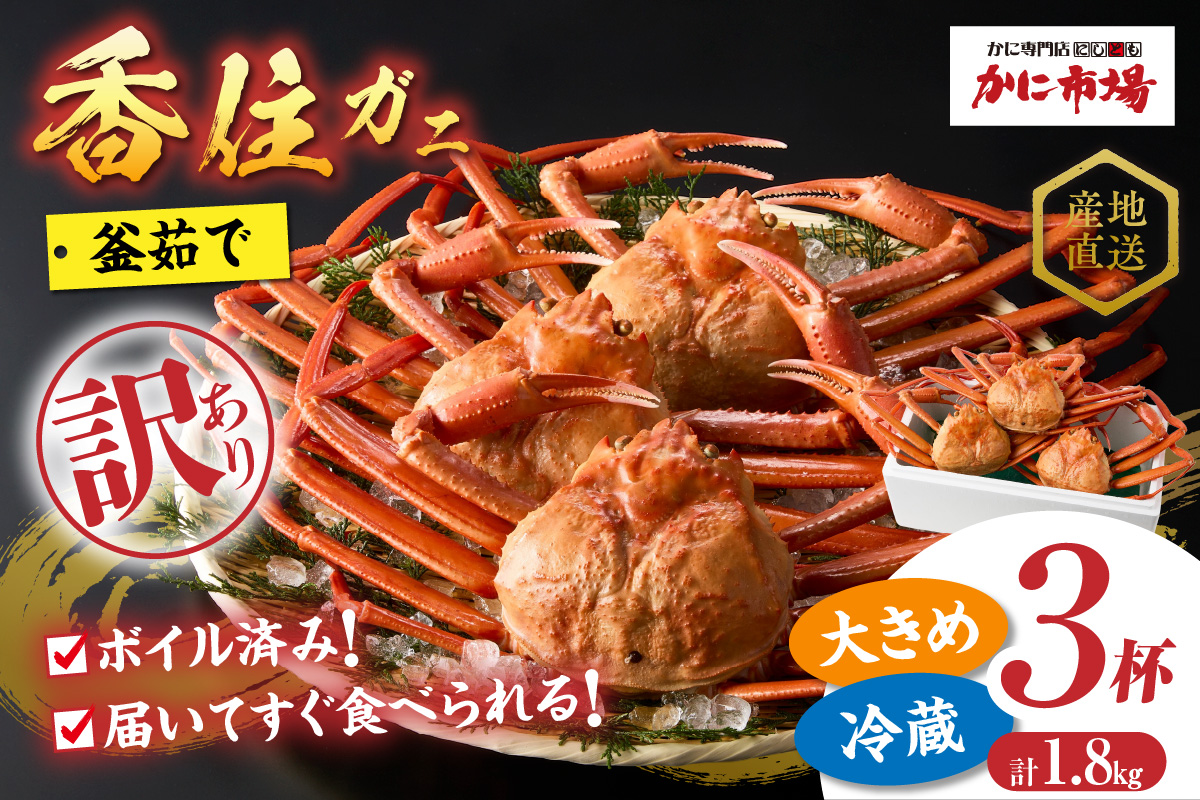 訳あり 香住ガニ 釜茹で 大きめ 約600g×3匹（約1.8kg以上）冷蔵 【令和8年9月中旬以降発送予定】 かに カニ 香美町 07-14