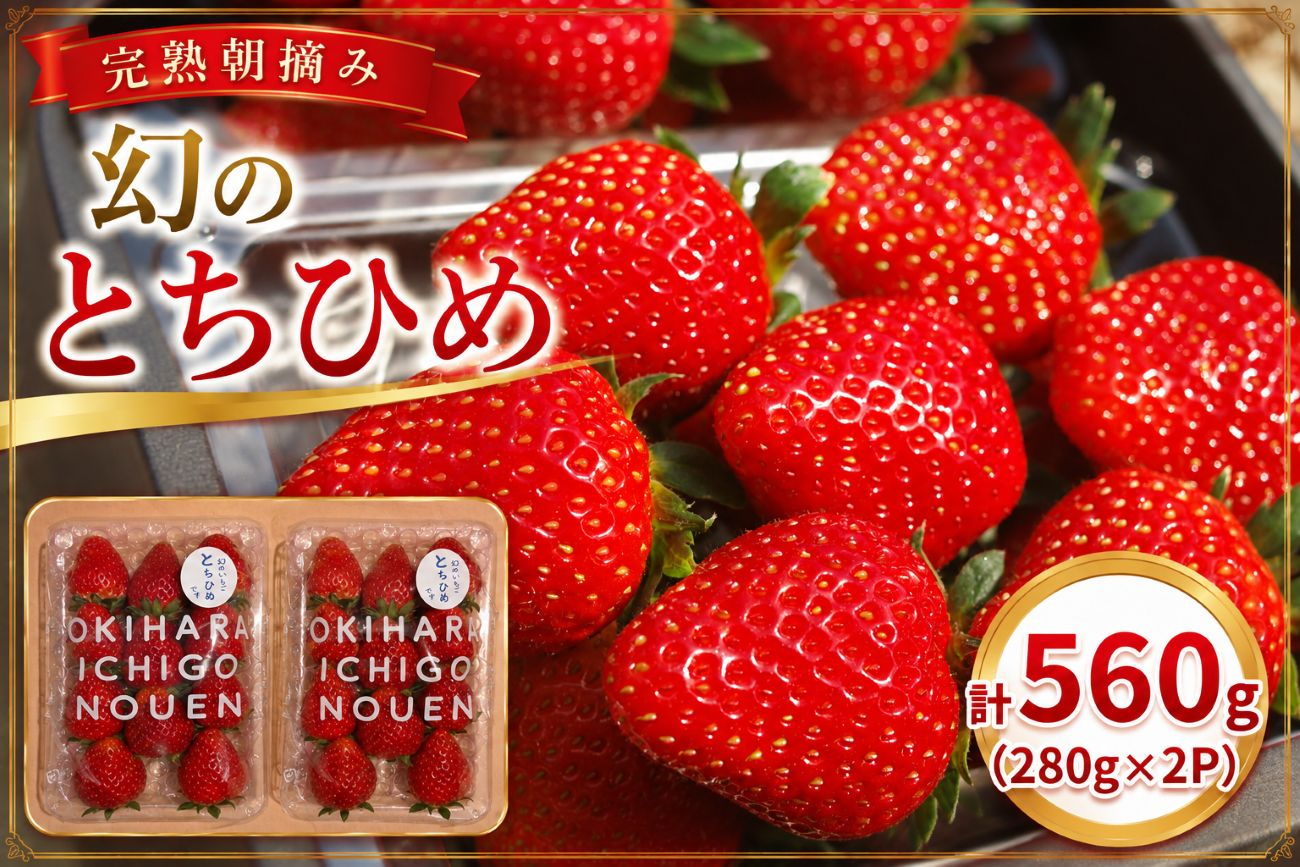 希少品種！幻の「とちひめ」 560g (280g×2P)|  栃木県 矢板市 澳原いちご農園