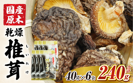 乾燥しいたけ 40g×6袋 240g　椎茸 小分け パック 小袋 個包装 個別包装 出汁取り 使い切り 使い勝手 普段使い お吸い物 きのこ キノコ類 干ししいたけ 乾しいたけ 原木栽培 乾燥しいたけ 常温 グルメ お取り寄せ おすすめ 宮崎県 高千穂町　_Tk004-039