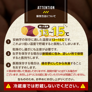 安納芋 さつまいも 10kg 生活 家計 応援 【種子島安納株式会社】n080-n