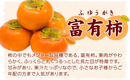 厳選・産直 富有柿 約2kg 化粧箱入り 柿