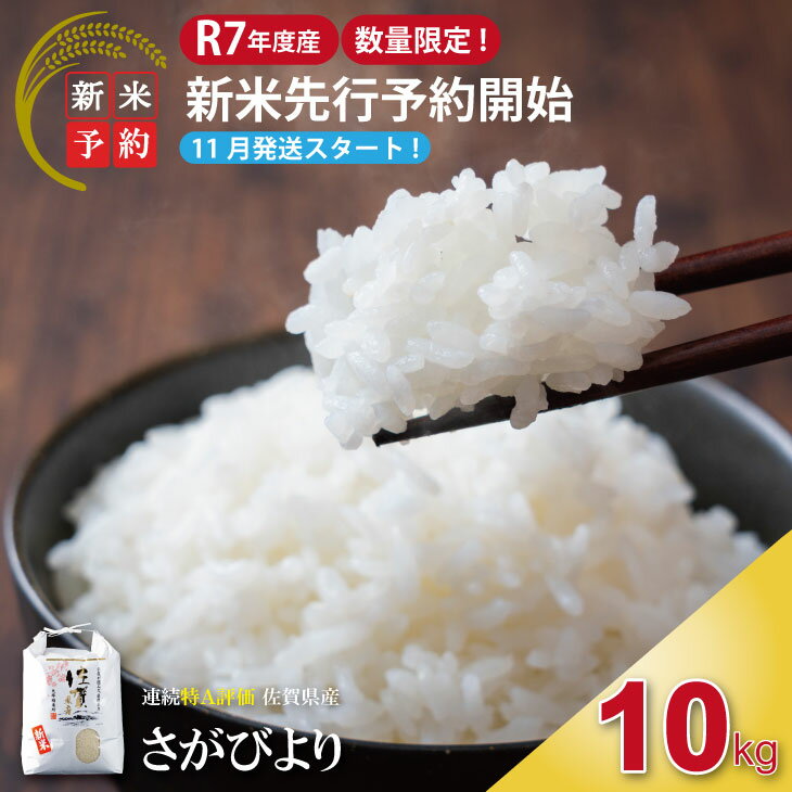 【ふるさと納税】【新米予約】【数量限定】R7年度産 佐賀ブランド 米「さがびより」10kg（白米）【11月順次発送予定】 大坪精米所 送料無料 佐賀の米 一等米 精米 白米 ブランド米 お米 白飯 人気 ランキング 高評価 【C280-002】