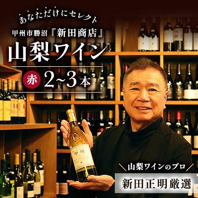 ふるさと納税 甲州市 ワインはやっぱり赤!山梨ワインのプロ「新田正明」があなただけにセレクト 赤ワイン2〜3本 甲州勝沼