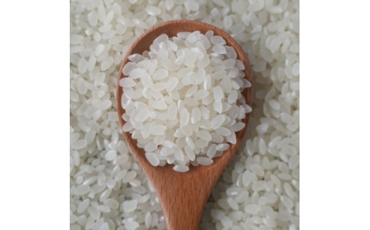 有機こしひかり白米450g×20袋(令和7年産)【1709190】