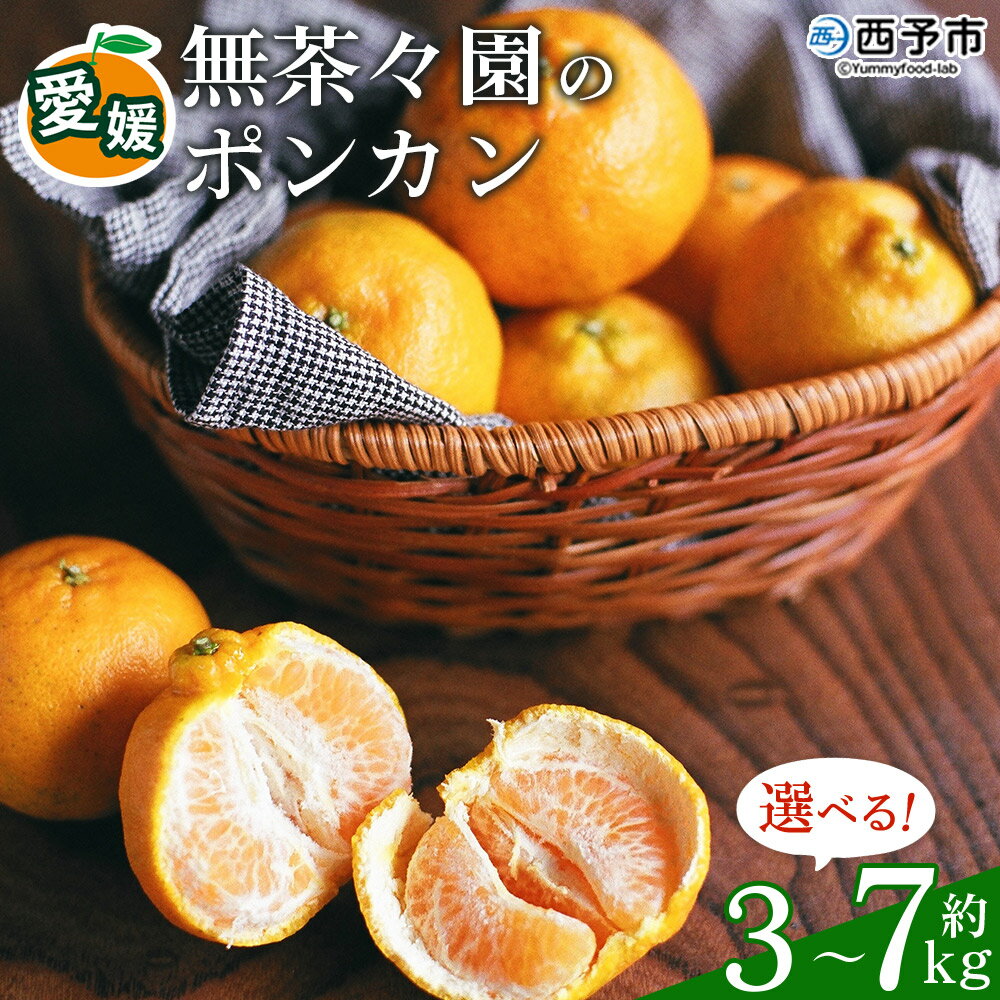 【ふるさと納税】【先行予約】 ＜無茶々園のポンカン 約3kg/5kg/7kg＞ 果物 くだもの フルーツ 選べる内容量 ぽんかん みかん 蜜柑 柑橘類 かんきつ 旬 甘い 濃厚 新鮮 期間限定 季節限定 産地直送 特産品 愛媛県 西予市 【常温】『2027年1月～2月中旬に順次出荷予定』