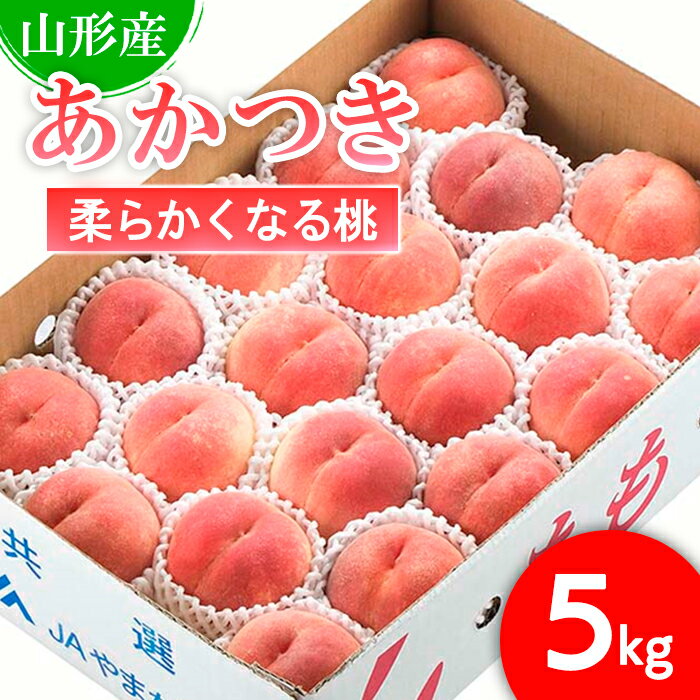 【ふるさと納税】山形市産 もも(あかつき)5kg(16〜20玉)[柔らかくなる桃] 【令和8年産先行予約】FS25-726 くだもの 果物 フルーツ 山形 山形県 山形市 2026年産