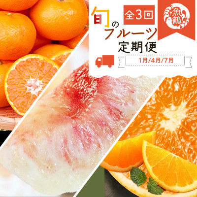 【発送月固定定期便】紀州和歌山産旬のフルーツセット(みかん・清見・桃)全3回【配送不可地域：離島・北海道・沖縄】【4005761】