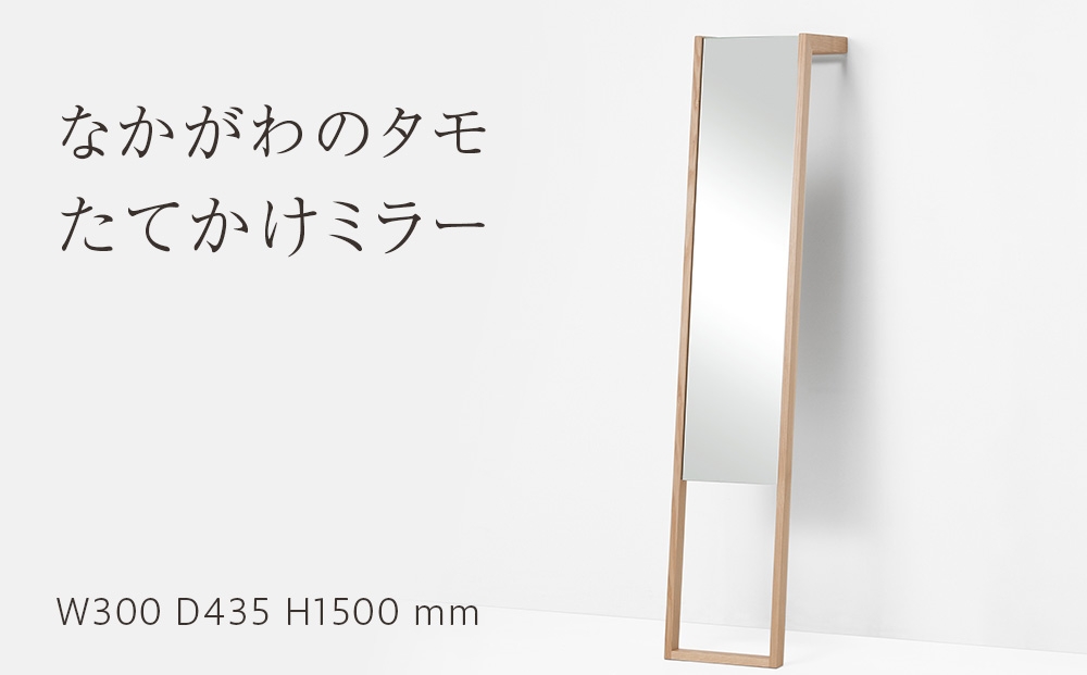 
                  なかがわのタモ　たてかけミラー
                