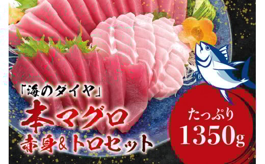 本マグロ（養殖）トロ＆赤身セット 1350g 【１ヶ月以内に順次発送】 / 高級 クロマグロ 中トロ 中とろ  まぐろ マグロ 鮪 刺身 赤身 柵 じゃばらまぐろ 本マグロ 本鮪【nks111B】