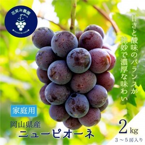 【2026年先行受付】岡山　花笑み農園の『ニューピオーネ』家庭用　約2kg(3～5房)　P-2家【配送不可地域：離島】【1692569】