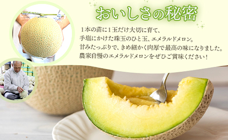 【６回定期便】夜須のエメラルドメロン ２玉 テレビ朝日「ザワつく!金曜日」で特集 紹介 くだもの フルーツ ギフト マスクメロン 青肉 ブランド ギフト 贈答用 ご褒美 高級 1個 お礼 御祝 産地直
