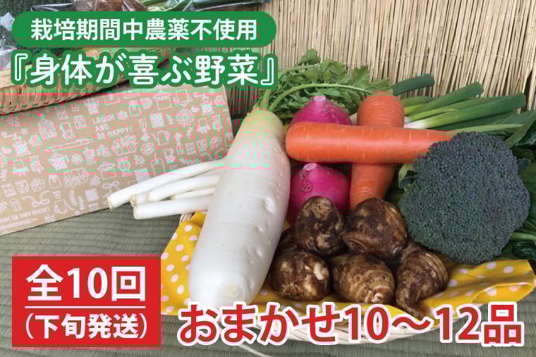 
            【発送月固定定期便】栽培期間中農薬不使用『身体が喜ぶ野菜』おまかせ10～12品（下旬発送）全10回 【新鮮 やさい ベジタブル 安心 安全 おいしい ランダム】（KBE-115）
          