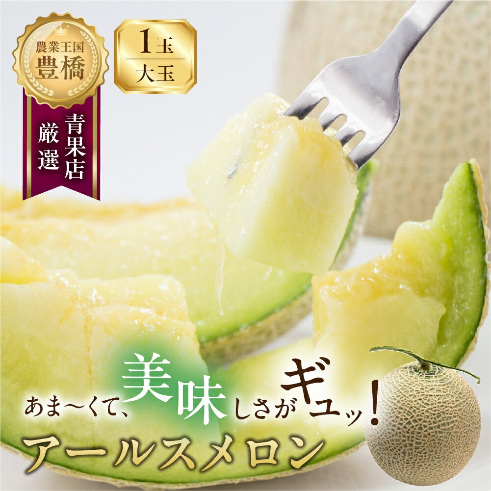 【ふるさと納税】≪先行予約≫ あまーい メロン 豊橋 城下地区の 『アールスメロン 大玉』 1玉 7月 8月 くだもの マスクメロン 果物 甘い フルーツ 大玉 大きい めろん 果実 旬 旬のフルーツ 愛知県 豊橋市 10000円 1万円