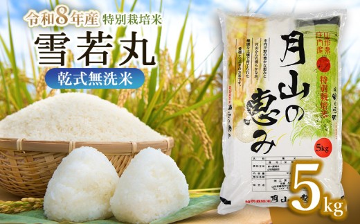 【令和8年産先行予約】【令和8年12月21日～12月27日発送】 特別栽培米 雪若丸 乾式無洗米 5kg　山形県鶴岡市産　米工房 月山 | 国産 ブランド米 米どころ 庄内米 大粒 食べ応え 抜群 つぶ感 新食感 バランス 良好 和食 洋食 中華 ピッタリ 冷めても おいしい おにぎり お弁当 おすすめ 人気 贈答 ギフト プレゼント 農家直送