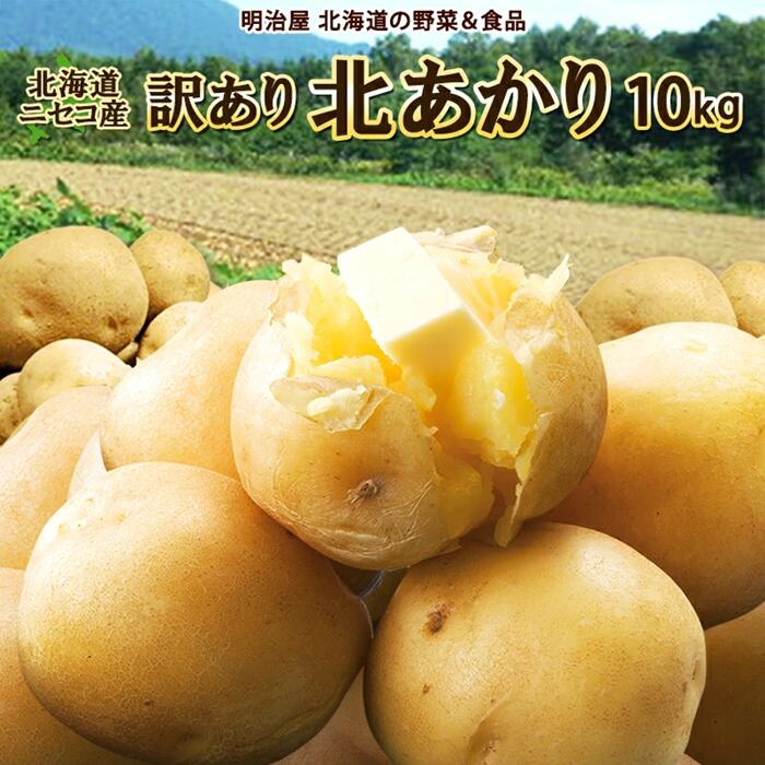 【ふるさと納税】〈早期予約・数量限定〉北海道ニセコ町 訳ありじゃがいも北あかり10kg【2026年産】【32005AA0101】