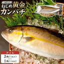 【ふるさと納税】カンパチ フィレ 【 2枚 （1尾分）・1枚 （片身分） 】 1枚 約1250g 配送日指定可能 | ねじめ黄金カンパチ 勘八 魚 さかな 魚介 魚介類 海鮮 養殖 冷蔵 真空パック 三枚おろし 産地直送 刺身 刺し身 カルパッチョ 特産品 鹿児島県 南大隅町