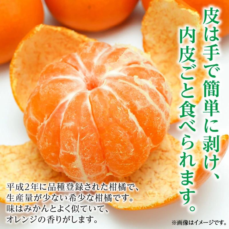 M02-0154_【ふるさと納税】【配送不可地域：北海道・沖縄県・離島】フルーツ デザート 果物 果実 みかん 柑橘 希少 柑橘 はれひめ 約10kg お土産 ギフト 生産量 オレンジ 内皮ごと フル