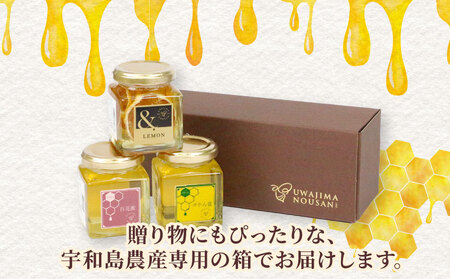 国産蜂蜜 3種類セット(非加熱)国産蜂蜜 宇和島農産 F012-132003