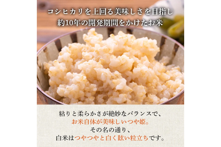 米 令和7年産 つや姫 5kg 特別栽培米 玄米