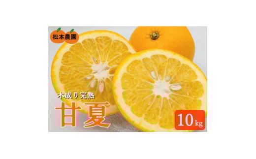 令和7年5月発送　木成り完熟甘夏みかん 約10kg ＜数量限定＞松本農園　橋本市産【1595969】