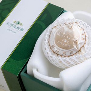 梨 2026年  あたご梨 1玉（約1.3kg） 贈答箱赤秀【ナシ なし 岡山県産 国産 フルーツ 果物 ギフト 石原果樹園】
