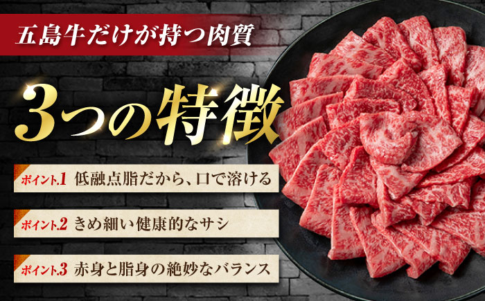 【6回定期便】五島牛 切り落とし 1kg（200g×5P）五島市/meat shop FUKU [PHF019]