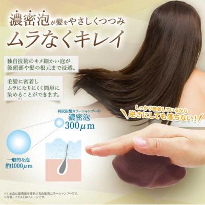 ふるさと納税 糸島市 [白髪用]利尻炭酸カラーシャンプー 株式会社ピュール ヘアケア シャンプー [AZA045] |  | 03